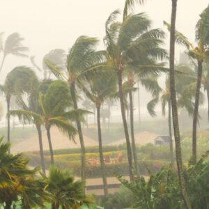 florida wind and how it affects a roof certification inspection in fort lauderdale